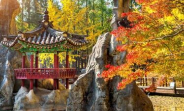 KOREA SALE 5D