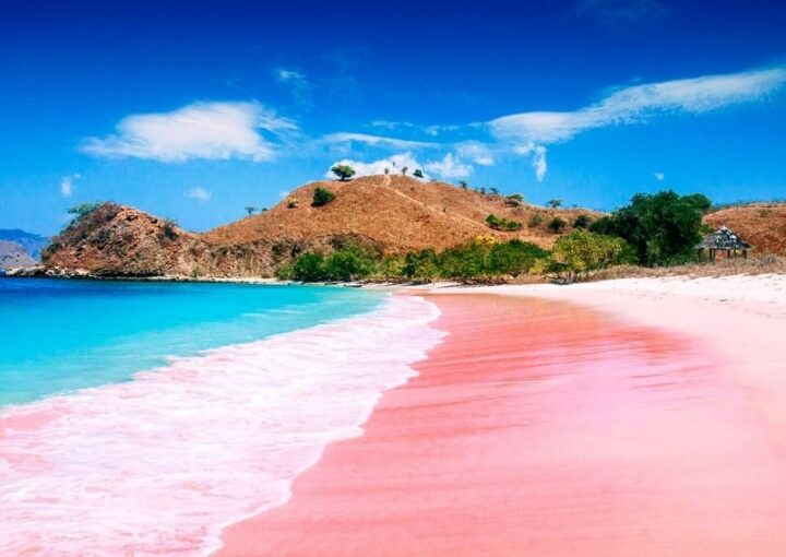 8 Hari Menjelajahi Komodo & Bali dengan Kapal Mewah Aqua Blu